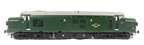 Class 37 in BR green with small yellow warning panel (un-numbered)