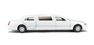 99 stretch limo in white