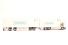 Scania R Topline Swedish Combi White PEarl ColdSped