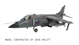 BAe Sea Harrier FRS 1 with Royal Navy Air Squadren and Fleet Air Arm marking transfers.