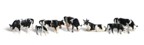 Holstein Cows (11)