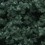 Foliage Clusters - Dark Green