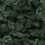 Clump Foliage - Dark Green