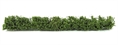 Hedge (Large) 170mm x 1