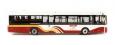 Wright Eclipse 2 "Bus Eireann 215 Blarney" NEW TOOLING