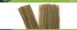 Natural Brown Field Grass