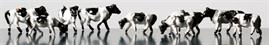 Painted Cows - Pack of 12