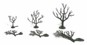 2 - 3" Deciduous - Tree Armatures - Pack Of 57 