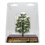 4" Sweetgum Tree - Pack Of 1