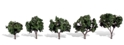Cool Shade Dark Trees - 3cm-5cm (1.25"-2") - Pack of five
