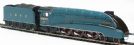 Class A4 4-6-2 4902 "Seagull" in LNER blue - Live Steam powered