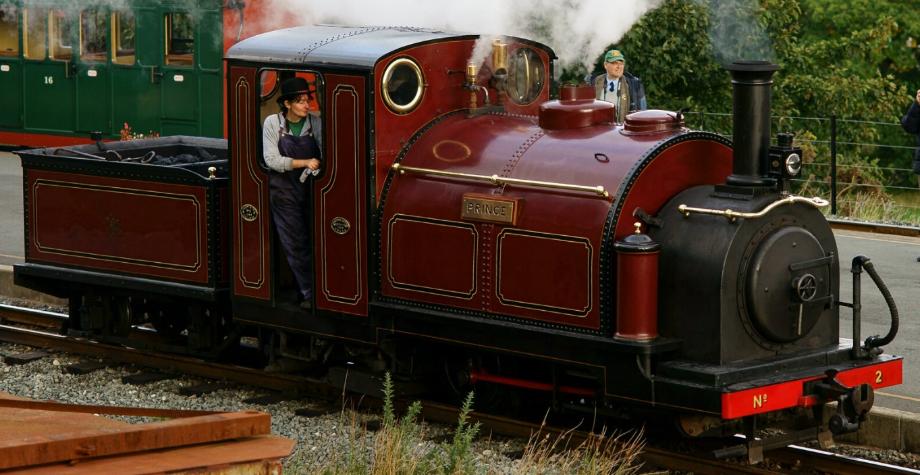 'Prince' at Beddgelert, Wales in October 2013. ©Peter Trimming