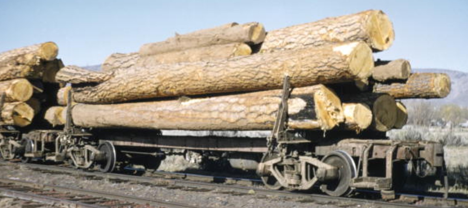 Skeleton Logging Car