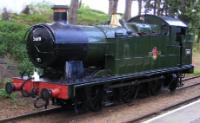5619 on the Gloucestershire & Warwickshire Railway in May 2009. ©Andrew Wilkinson