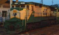 9339 in Brasil, exact location unknown. September 2006. ©André B. Benetti