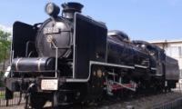 D50 25 at Kitami City, Hokkaido in August 2009. ©100yen